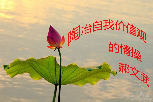 成长的必修课：写给自己的文章
