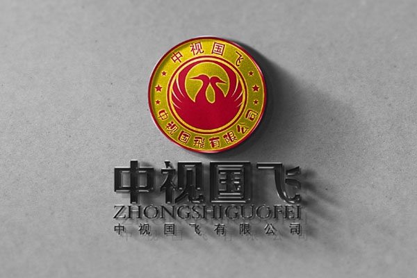 中视国飞有限公司