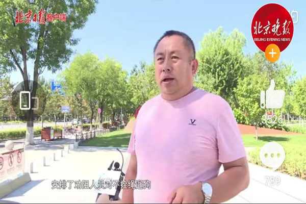 北京延庆首推规范遛狗政策